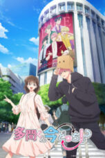 Tamon-kun Ima Docchi!? Episode 1 Tamon-kun Ima Docchi!? Episode 1